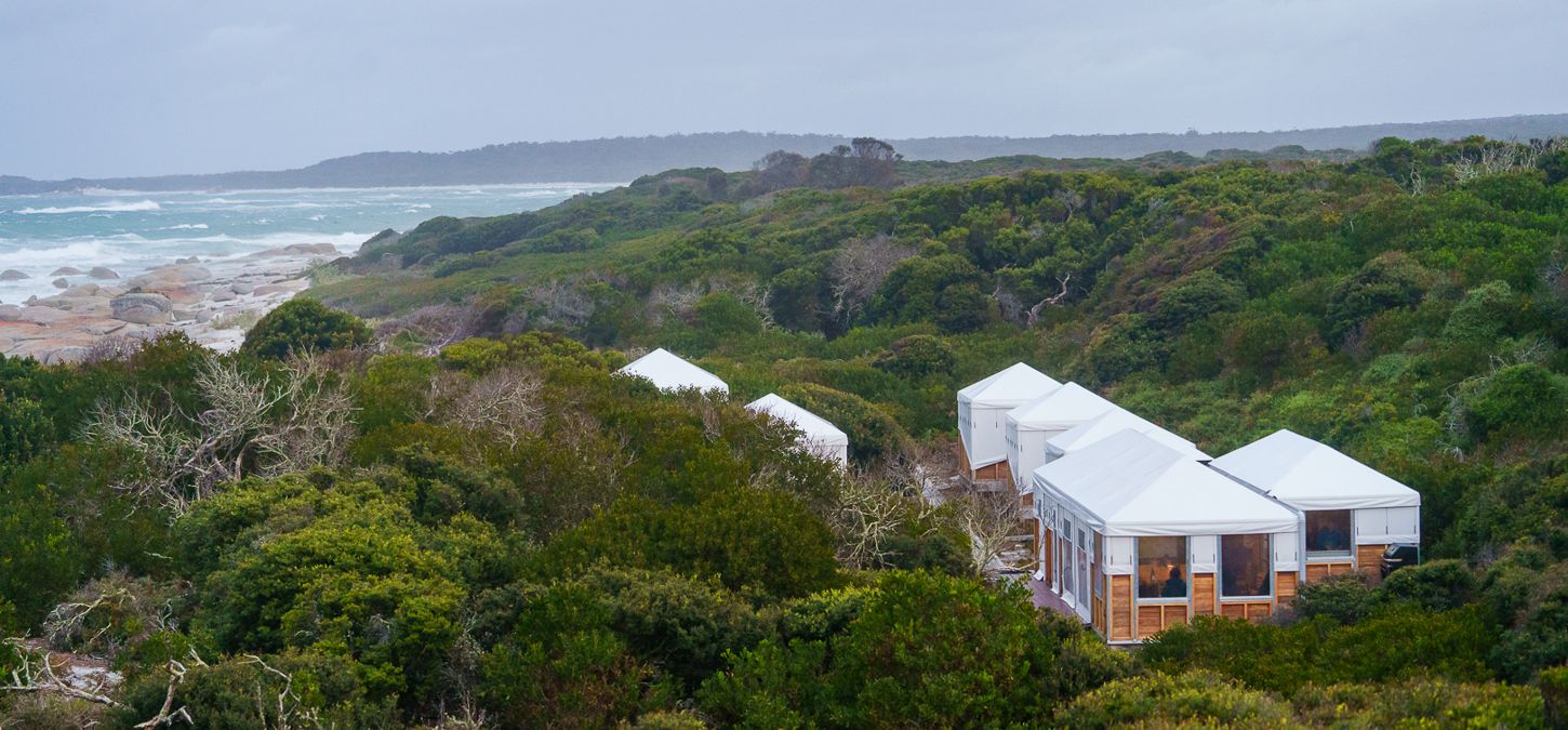 Our beach camp is a great place to start on our multi-day guided bushwalk in Bay of Fires, Tasmania