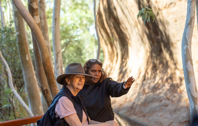 Learning from traditional owners