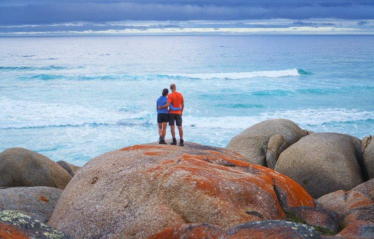 Guests, rocks, ocean, coast