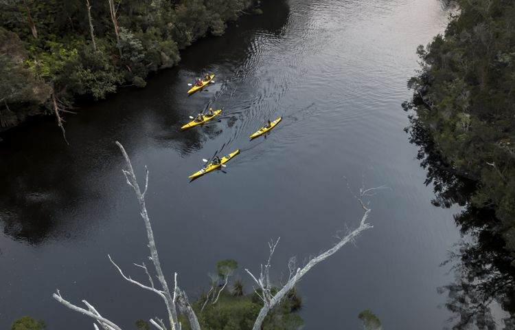 Kayaks, people, river, trees,