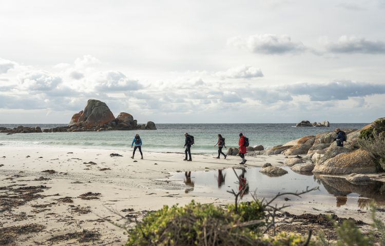 guests walking along beach at Bay of Fires