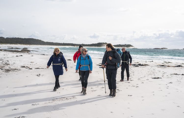 walkers, beach, coast, sand