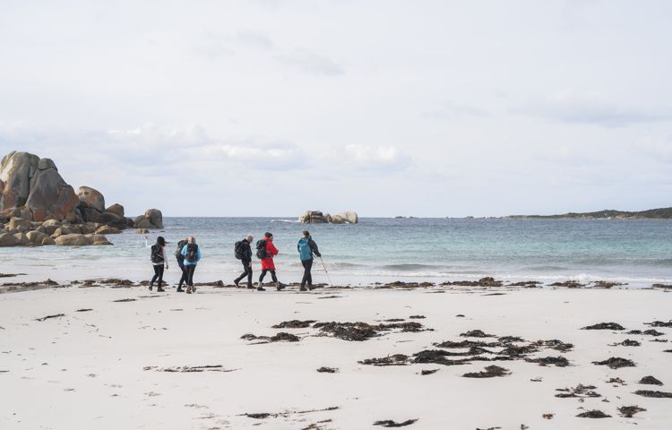 guests walking along beach