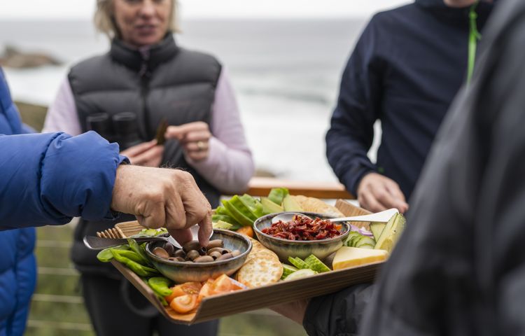 Food platter, guests, ocean,