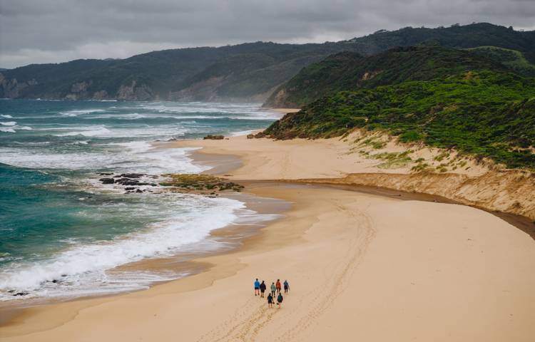 Beach, people, ocean, nature