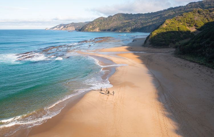 beach, ocean, nature