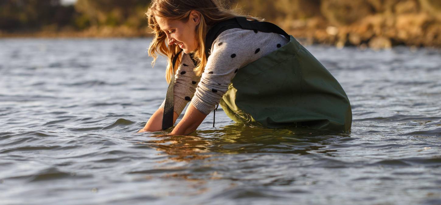 Bruny Island Heros collecting oysters