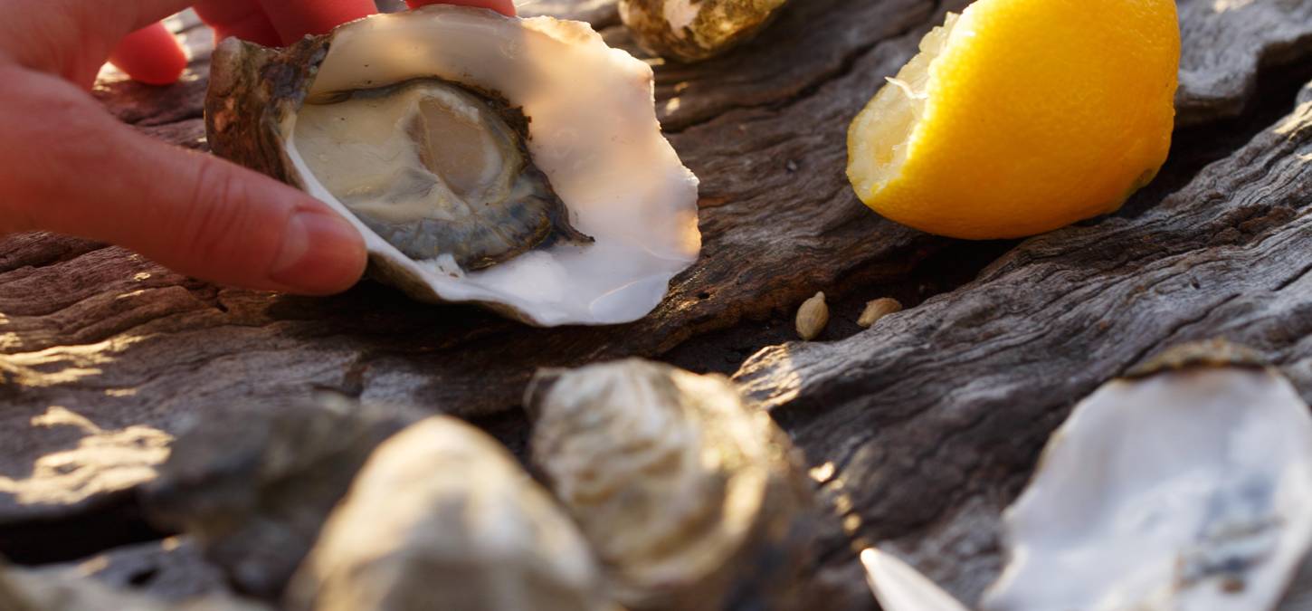 Bruny Island Heros fresh oysters