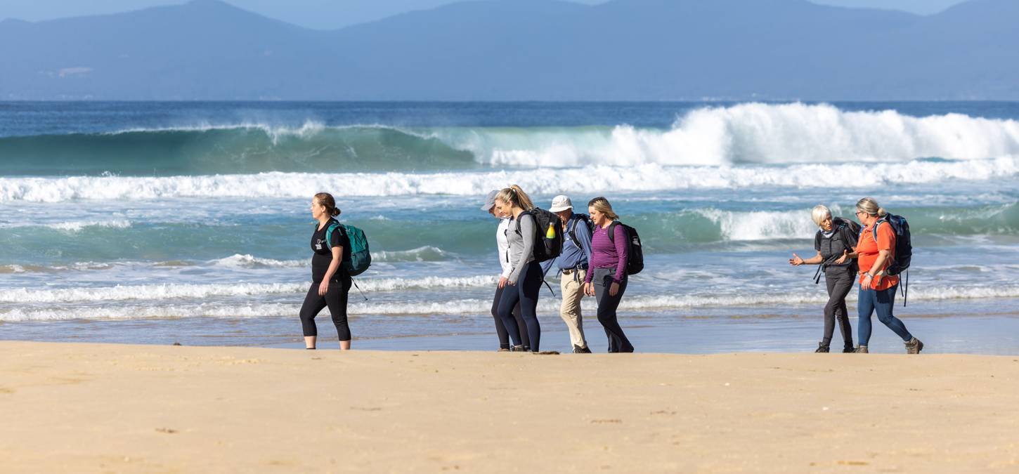 guests walking along the beach