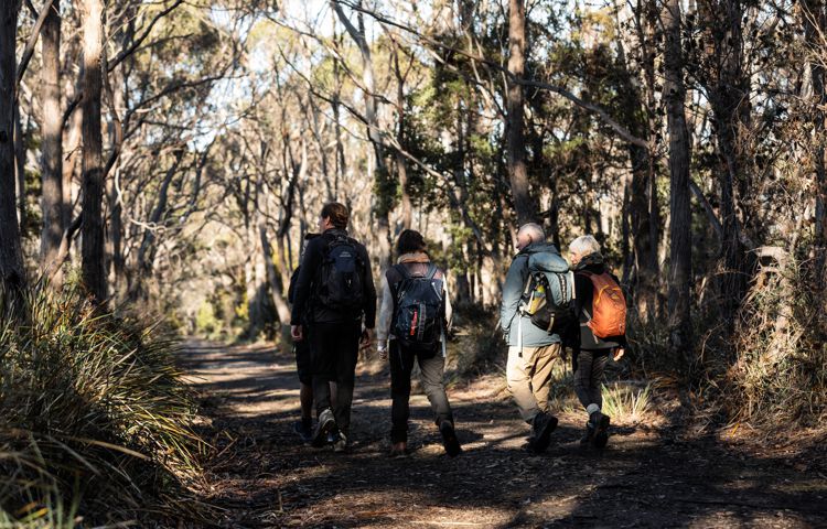 Bruny Island guided walking