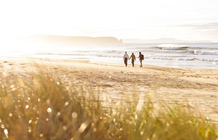 Guided bushwalking on Bruny Island