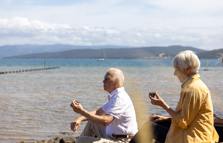Guests, Oysters, Ocean, Rocks