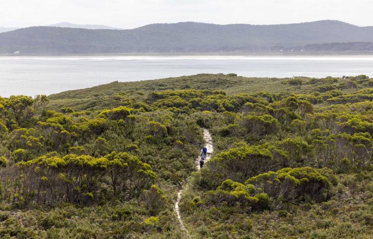 Guests walking along the path near the ocean on Bruny Island