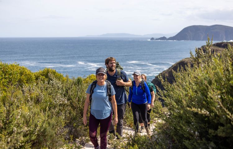 Guests, nature, walk, beach, ocean.