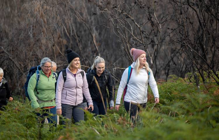 4 Guests walking through Bruny Island