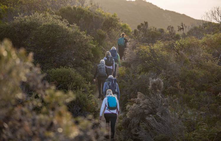 Guests walking through nature on Bruny Island Walk