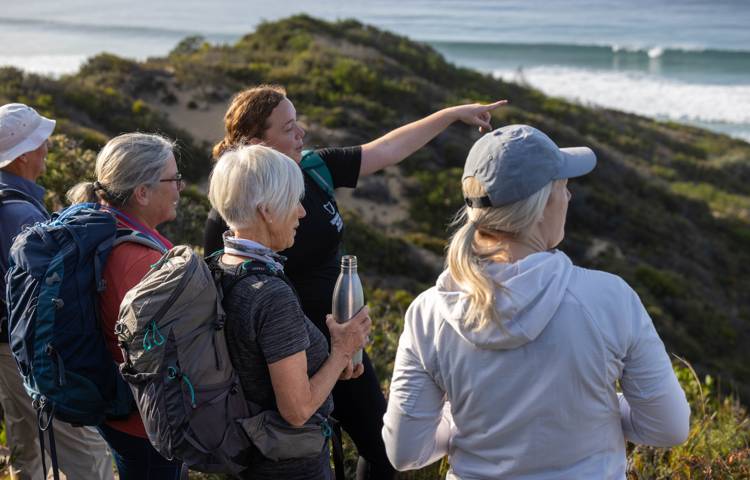 Guests admiring the view at Bruny Island