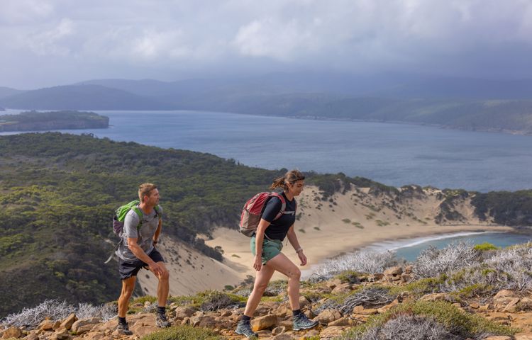 Guests walking along Three Capes trail