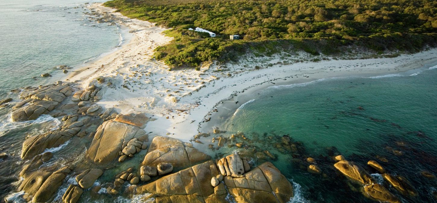 Forester Camp headland