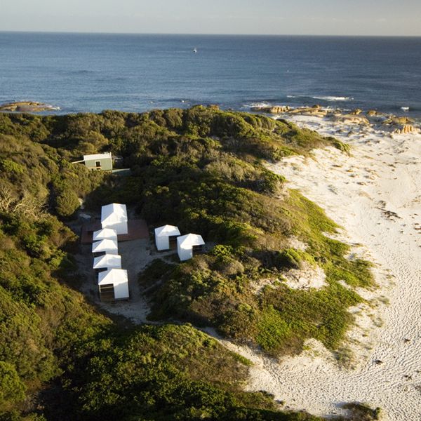 Forester Beach Camp