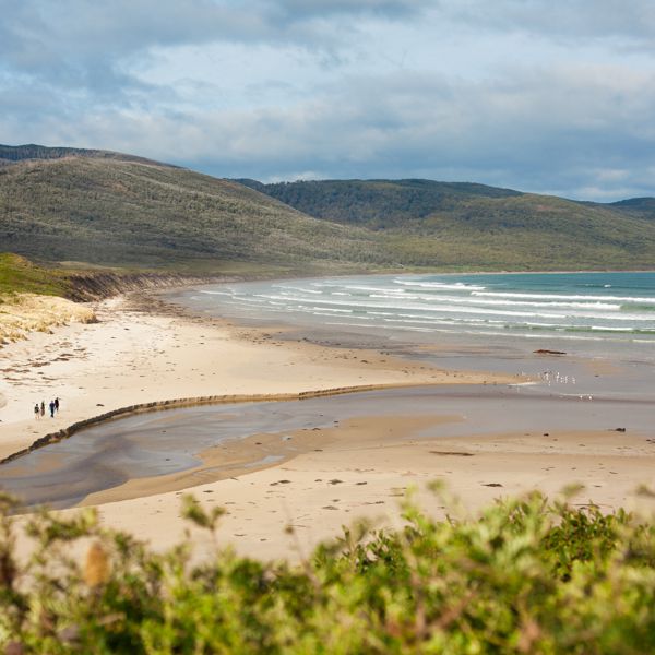 Cloudy Bay Beach Walk_Ppl_Highres