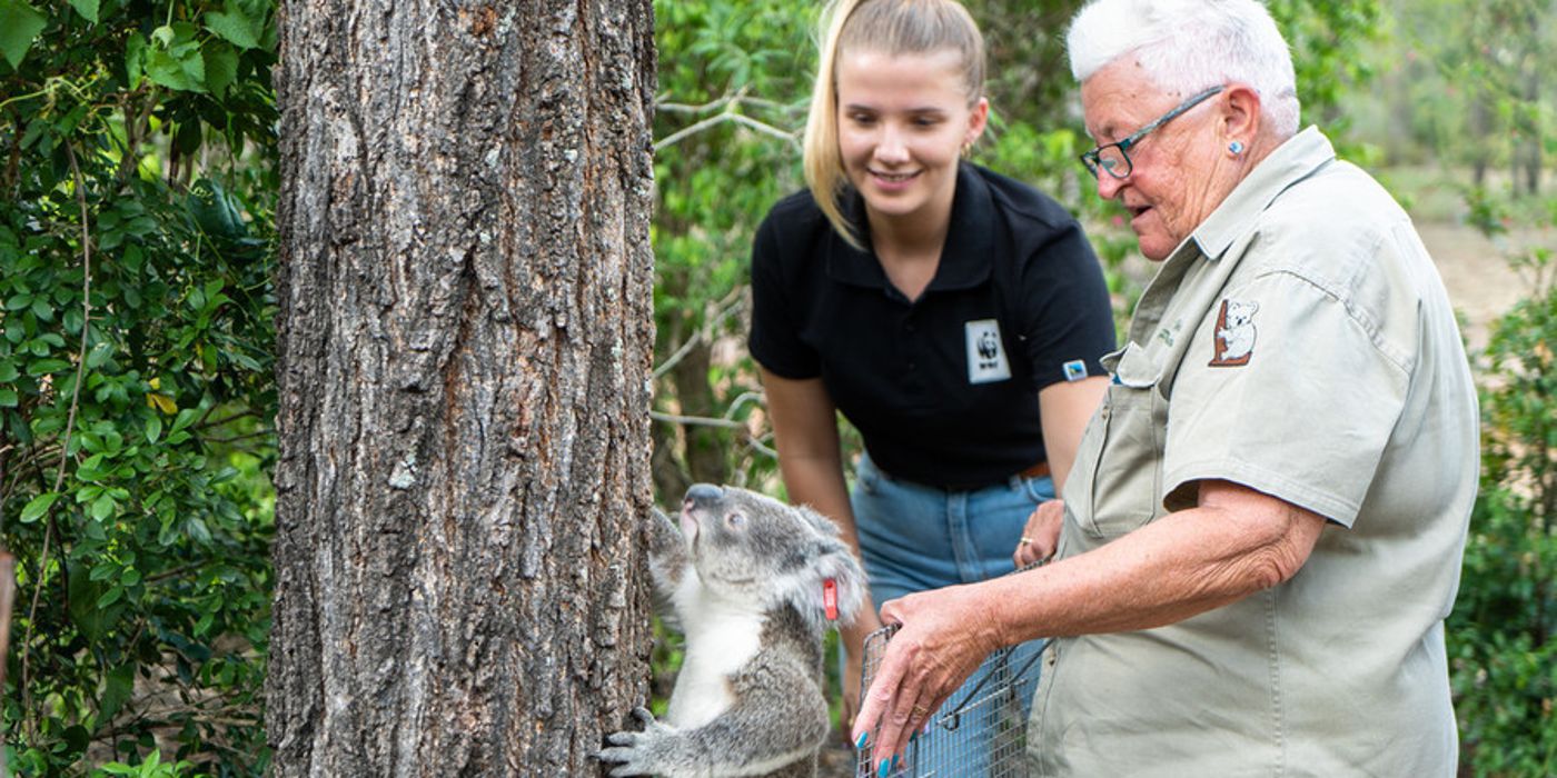 Walk for Wild to Regenerate Australia 2023