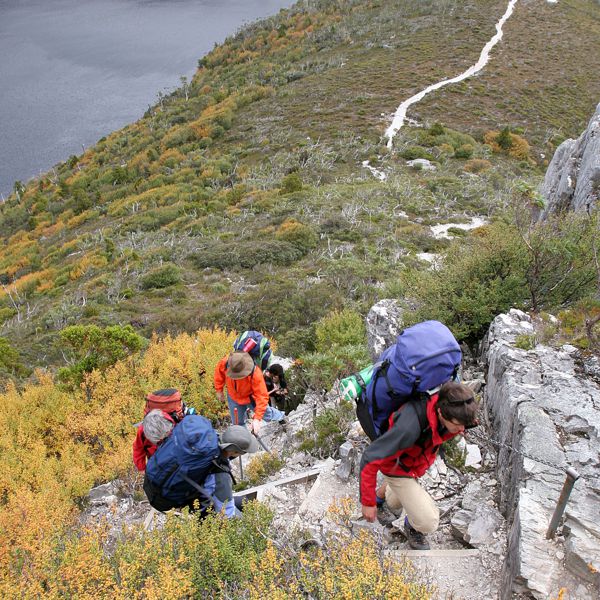 Cmh Marions_Lookout