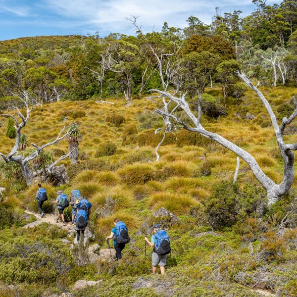 Cradle Mountain Gwoa 122