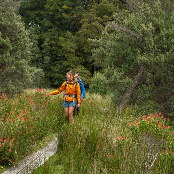 Cradle Mountain Gwoa 231