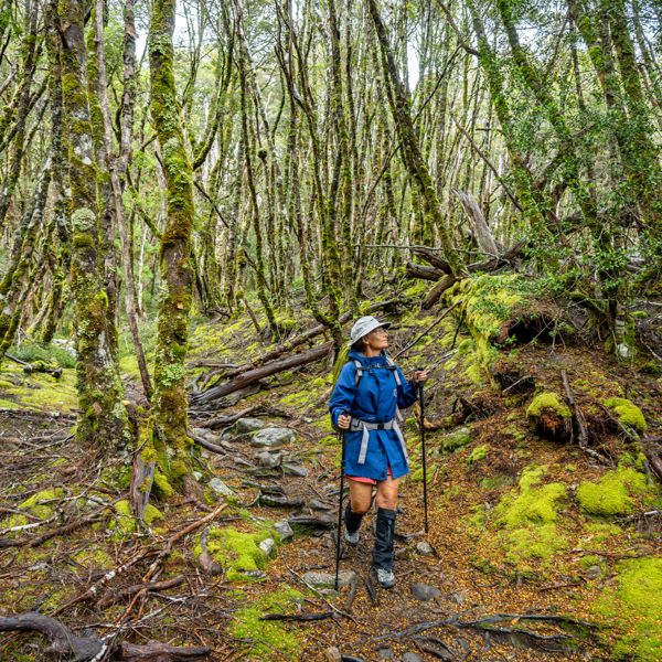 Cradle Mountain Gwoa 267