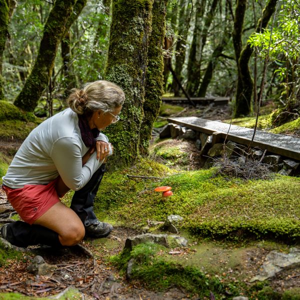 Cradle Mountain Gwoa 399