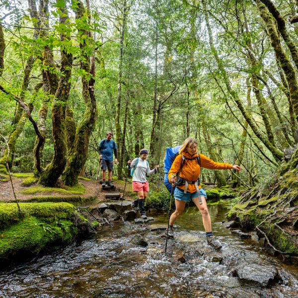 Cradle Mountain Signature Walk