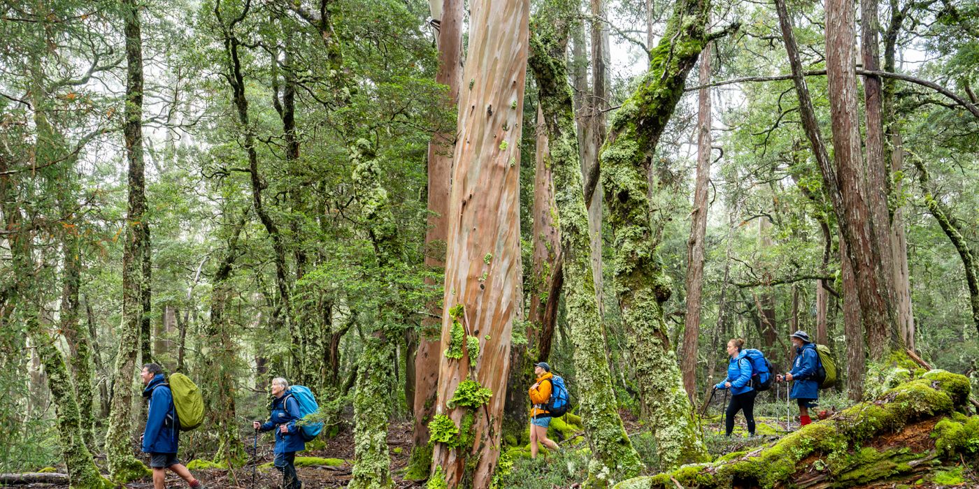 Discover the Overland Track with guided ease and adventure.
