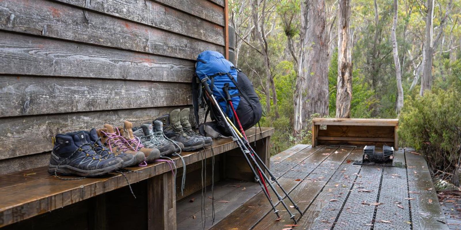 Walk review from Nerralie Shaw, Cradle Mountain / Overland Track