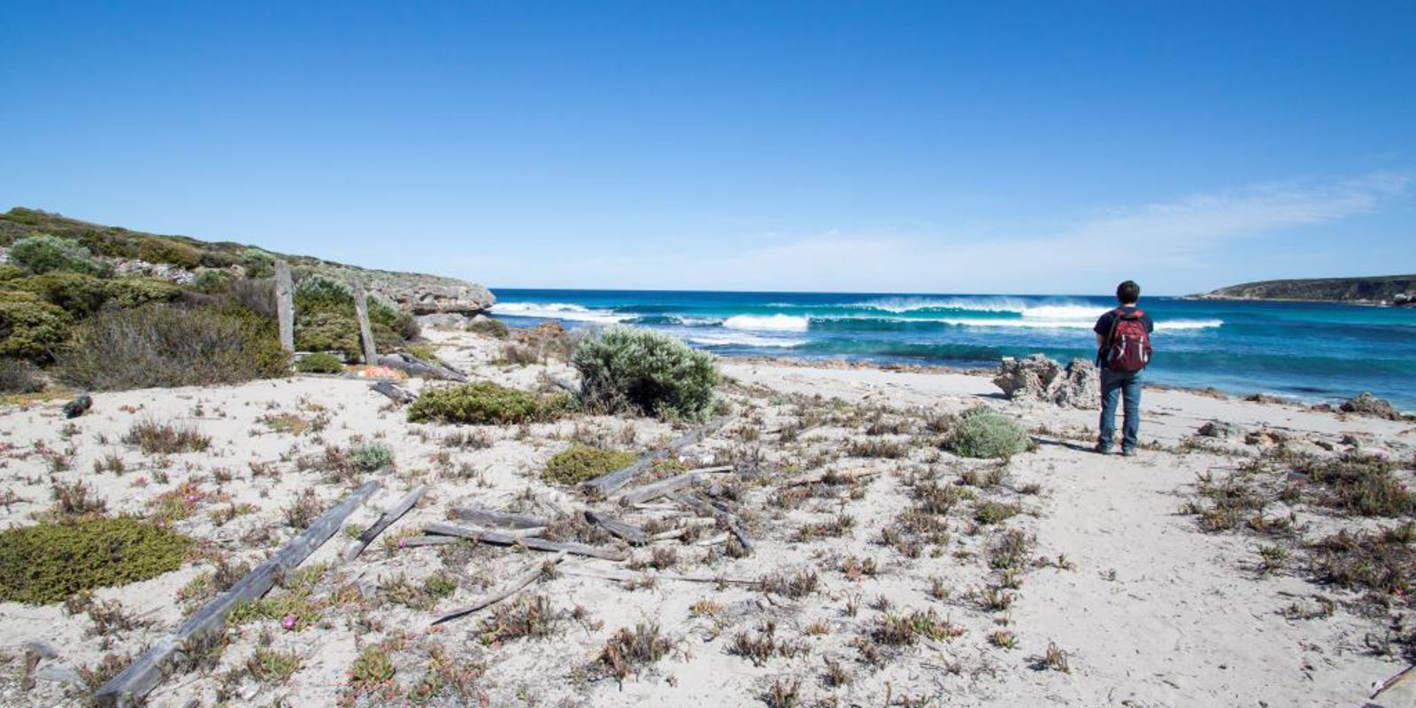 Jules 5-star review | Kangaroo Island