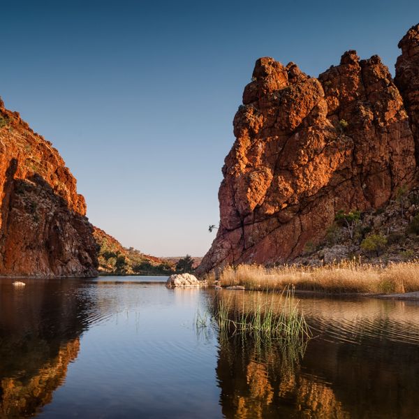 Guided walks on the Larapinta Trail