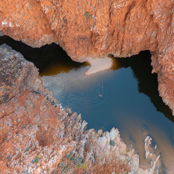 Prices for the Larapinta Trail Walk