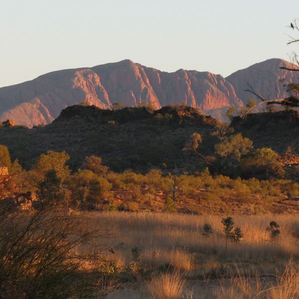 Larapinta Sonder 2