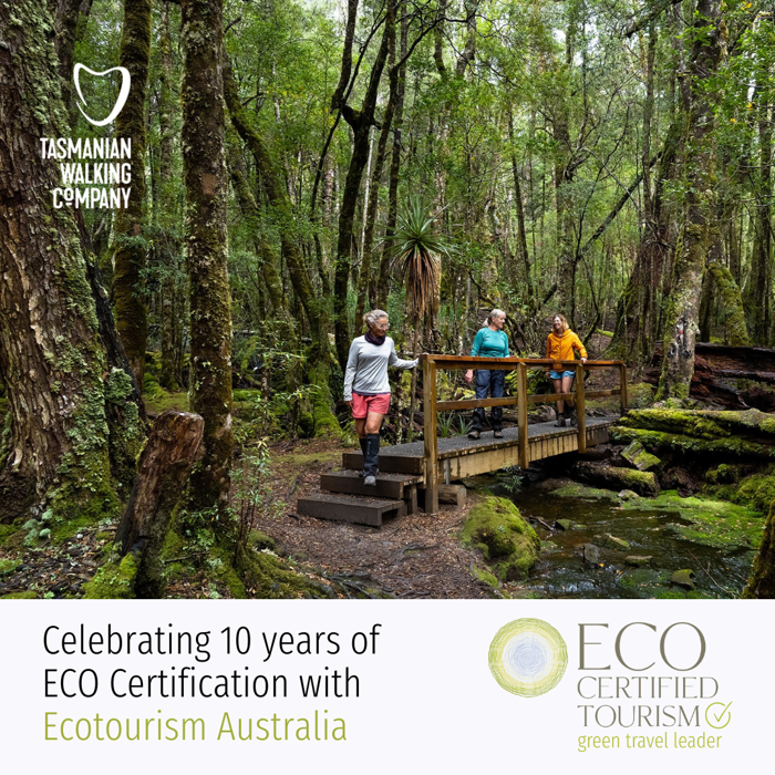 Celebrating 10 years of ECO certification