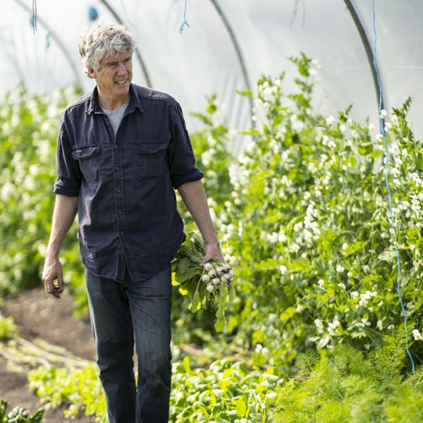 Matthew Veg Garden Spring Turnip