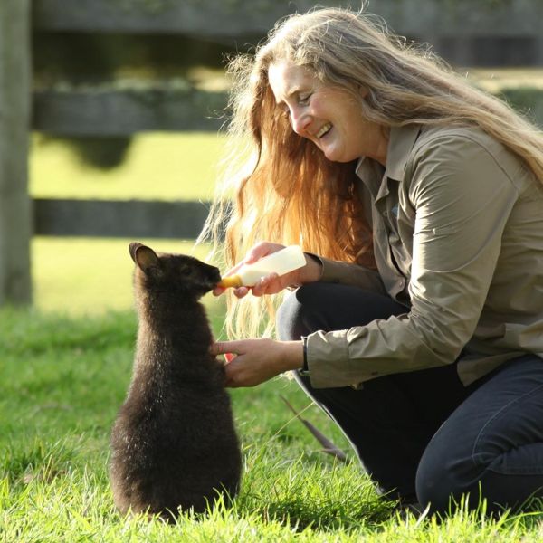 Hero Image 4 Tonia Feeding Wallaby