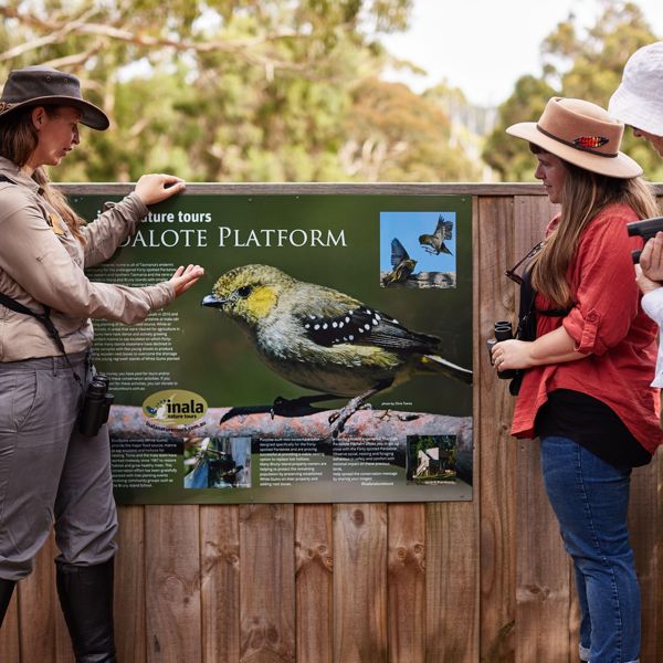 Inala Forty Spotted Pardalote Platform