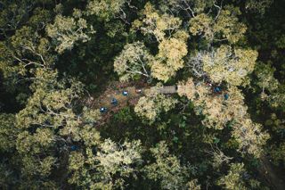 Dji_0113