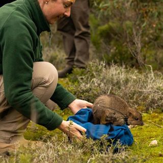 Rswwfau_16373_Rswwfau_16373_Web