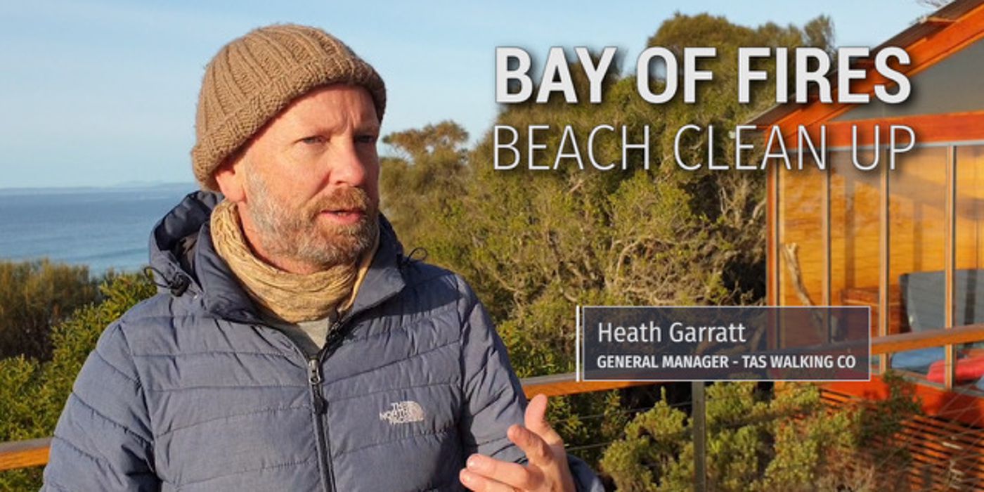 Bay of Fires Sea Spurge Clean-Up - larapuna Community Weekend