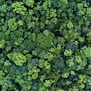Content_Image_Landscape_1