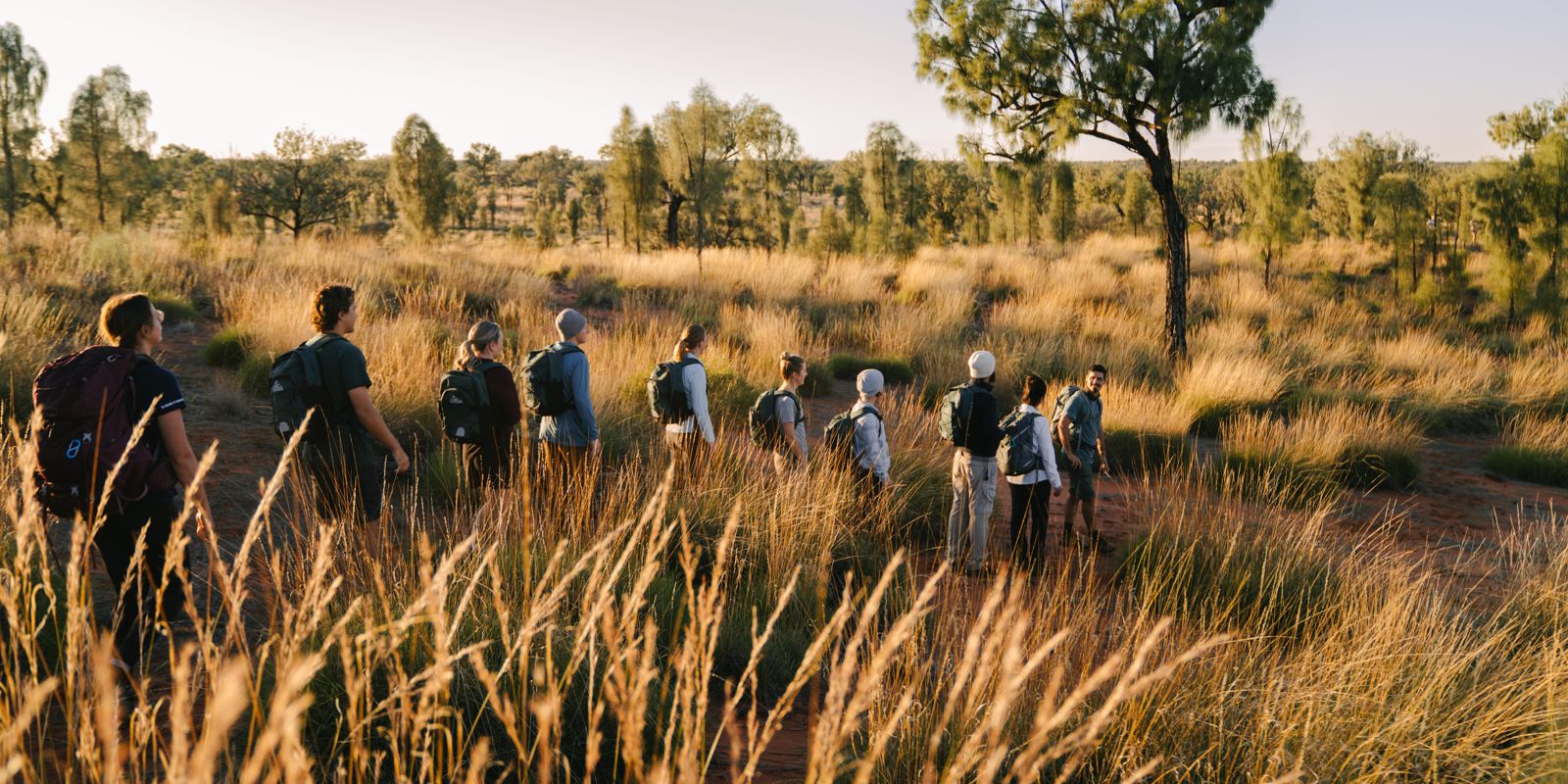 Walk review from Michael O'Leary, Uluṟu-Kata Tjuṯa / Yulara