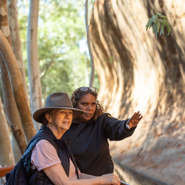 Local guides at Uluru - Guided Walks